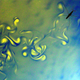 Illustration for article titled 32 Mesmerizing Photos of Vortices, From Soap Bubbles to Spiral Galaxies